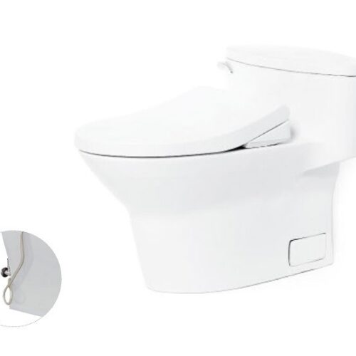 Bàn cầu một khối, nắp đóng êm kèm vòi rửa nước lạnh TCW1211A