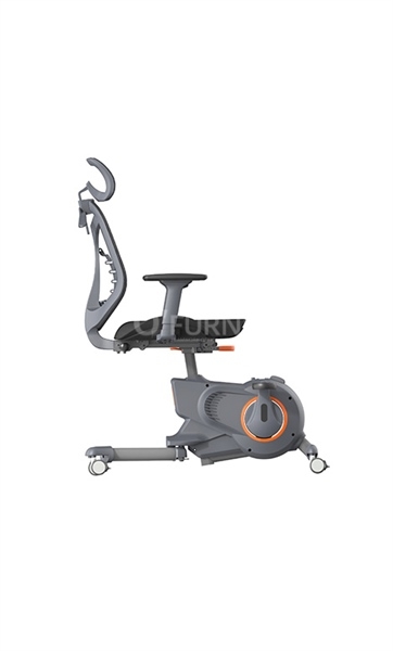 Xe đạp tập thể dục kèm lưng ghế BIKEX 3 - Ảnh 3