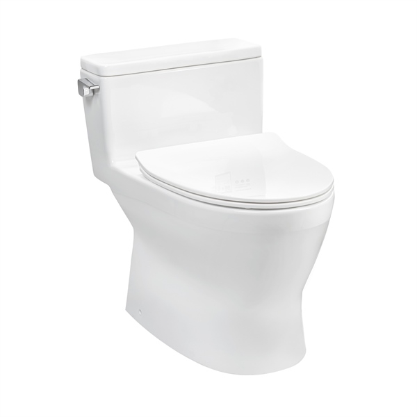 Bàn cầu một khối, nắp đóng êm TC600VS