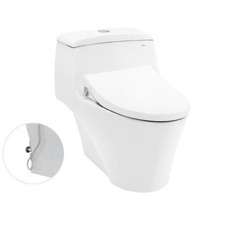 Bàn cầu một khối, nắp đóng êm kèm vòi rửa nước lạnh TCW1211A