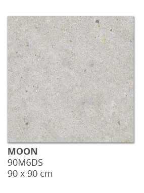 Gạch porcelain lát nền MOON