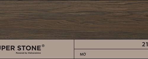 Gạch porcelain lát nền DCASTANEA