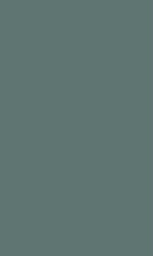 Gạch ốp lát Nabel YN61560 600x1200x10