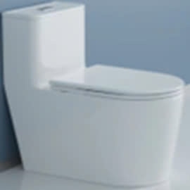 BỒN CẦU BẰNG SỨ WCO3076