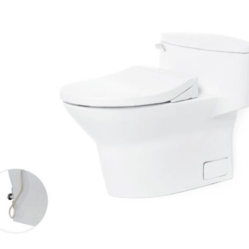 Bàn cầu một khối, nắp đóng êm kèm vòi rửa nước lạnh TCW07S