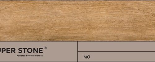 Gạch porcelain lát nền VIGGO