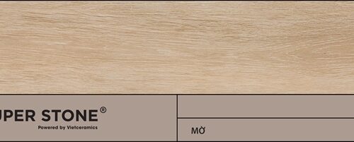 Gạch porcelain lát nền VIGGO