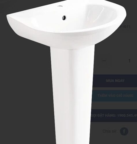 Chậu lavabo treo
