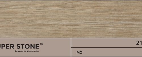 Gạch porcelain lát nền DCASTANEA